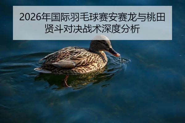 nian-guo-ji-yu-mao-qiu-sai-an-sai-long-yu-tao-tian-xian-dou-dui-jue-zhan-shu-shen-du-fen-xi-2-887.jpg