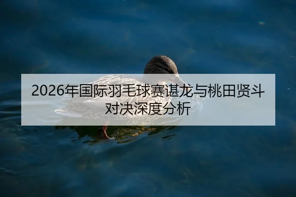 nian-guo-ji-yu-mao-qiu-sai-chen-long-yu-tao-tian-xian-dou-dui-jue-shen-du-fen-xi-2-460.jpg
