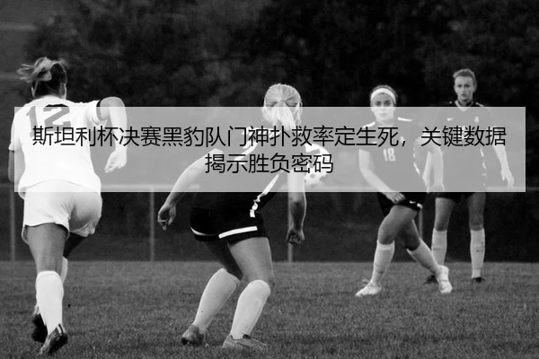斯坦利杯决赛黑豹队门神扑救率定生死，关键数据揭示胜负密码